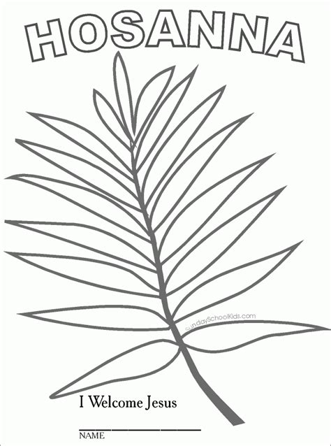 palm branch coloring page coloring home