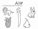 Alif Arabic Colouring Letter Pdf Link Click Colour Grade sketch template