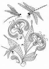 Coloring Dragonfly Pages Adults Adult Printable Colouring Dragon Dragonflies Butterflies Mandala Flower Books Flies Illustration Etsy Vintage Getdrawings Coloriage Para sketch template