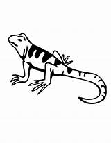 Lizard Coloring Pages Cartoon Kids Color Printable Clip Clipart Gecko Cliparts Print Graphics Lizards Drawings Library Creativity Ages Develop Recognition sketch template