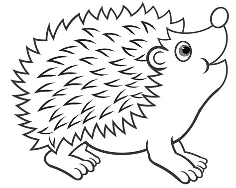 hedgehog coloring pages  coloring pages  kids