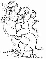 Lion King Coloring Disney Simba Characters Pages Large sketch template