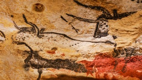 ice age cave paintings decoded  amateur researcher nova pbs