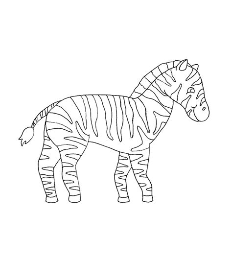 zebra print coloring pages printable
