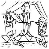 Voltigieren Malvorlage Pferde Reiten Pferd Ausmalen Ausmalbild Gefallen sketch template
