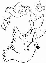 Mewarnai Burung Palomas Dara Duiven Bandada Tauben Merpati Dieren Pigeon Colorare Ausmalbilder Animasi Malvorlagen Coloriage Coloriages Pombos Bergerak Pigeons Ausmalbild sketch template