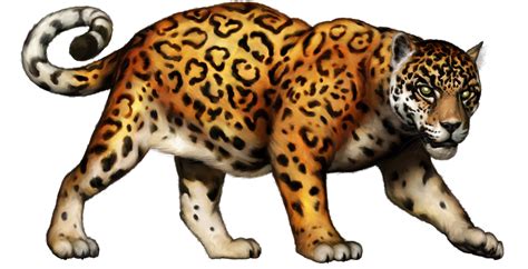 Jaguar Clipart Clipground