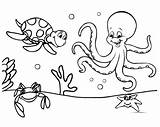 Coloring Pages Easy Ocean Animals Color Preschool Cute sketch template