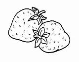 Strawberry Coloring Pages Color Print sketch template
