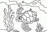 Coloring Turtle Sea Popular sketch template