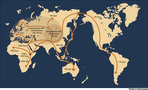 impact  historic migrations  evolutionary processes  human