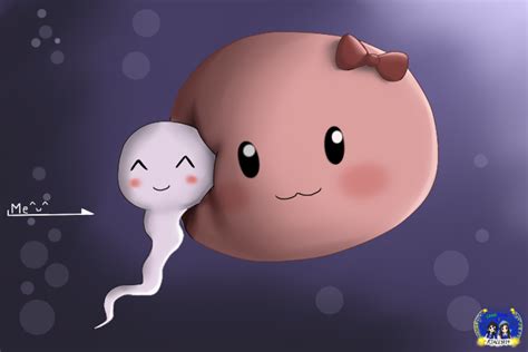 Sperm And Egg How I Become Me By Rjace1014 On Deviantart