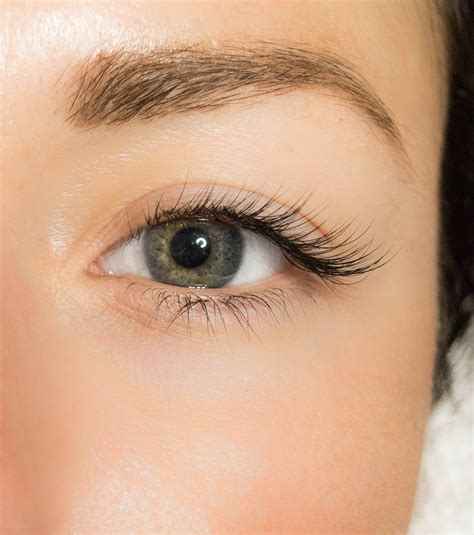 healthier lashes  extension appointments  lashx lapalme magazine