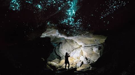 glow worm cave photography