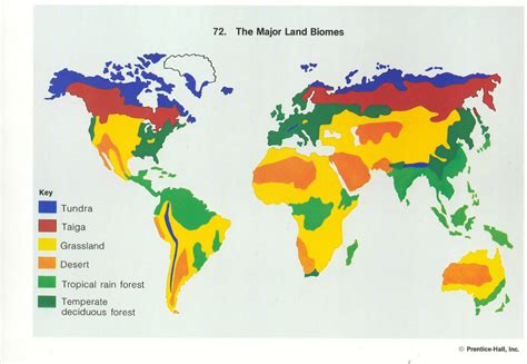 land biomes diagram quizlet