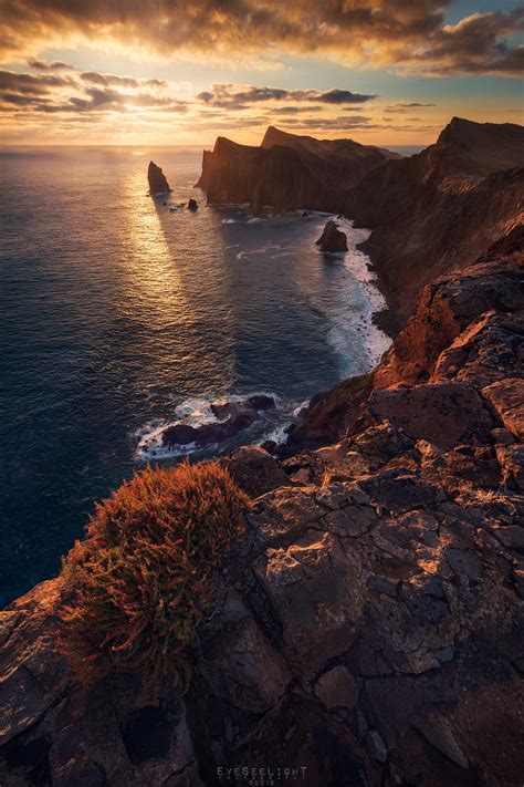 dramatic vulcanic cliffs illuminated   sunrise madeira portugal oc