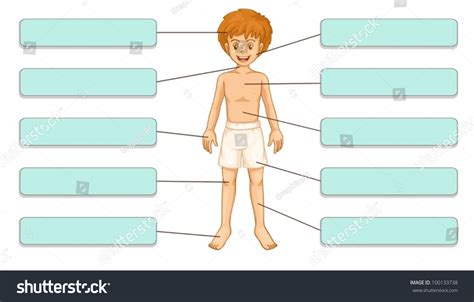 illustration body parts labels stock vector royalty