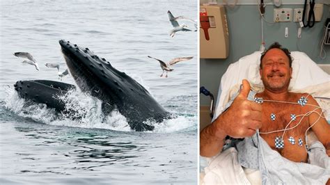 cape cod man s story of being swallowed by a whale nbc boston