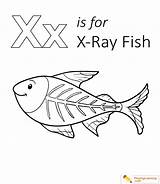 Coloring Fish Xray Pages Letter Printable Ray Color Kids Playinglearning Preschool Sheet Uppercase Lowercase Sheets Through Book Animal Popular Choose sketch template