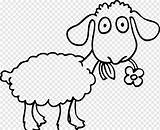 Lamb Domba Realistic Mewarnai Einstein Flock Webstockreview Getdrawings Kambing Clipartmag sketch template