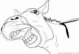 Donkey Coloringpages101 Donkeys sketch template