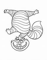 Coloring Cheshire Cat Divertido Balancing Engraçado Dibujosonline Maravillas Colorironline sketch template