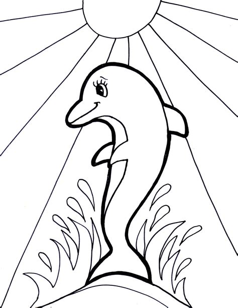 dolphin coloring pages picture animal place