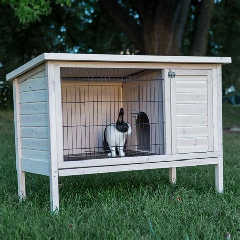 good exterior rabbit cages animals  great