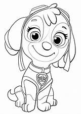Skye Canina Patrulha Patrol Paw Guru Tvontario Nickelodeon Spin sketch template
