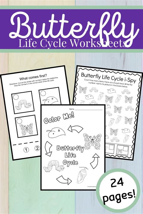 life cycle   butterfly  kids life cycles butterfly life cycle