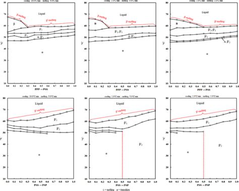 polymorphism  kinetic behavior  binary mixtures  trisaturated triacylglycerols