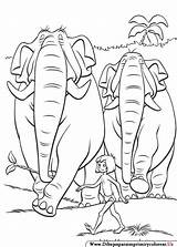 Coloring Pages Selva Colorear sketch template