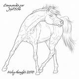 Coloring Pages Andalusian Horse Template sketch template