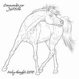 Coloring Pages Andalusian Template sketch template