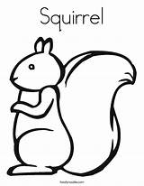 Squirrel Coloring Outline Preschool Pages Kids Template Crafts Tupai Printables Templates Squirrels Twistynoodle Fall Noodle Craft Print Twisty Tail Clipart sketch template