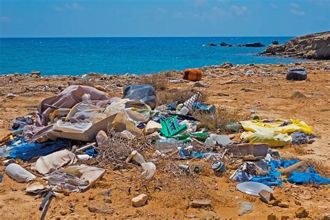 plastikinseln die verschmutzung der weltmeere future green