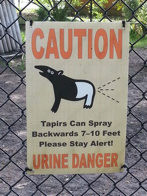 funny signs  zoo beware  birds