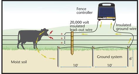 ground rod installation grounding rod install electric fence  cattle electric fence