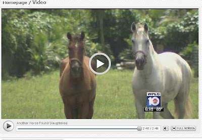 horses    soul urgent alert    identify