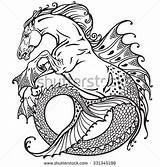 Kelpie Hippocampus Seahorse Mythological Greek Designlooter sketch template