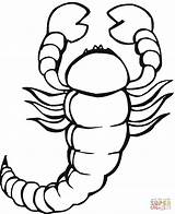 Scorpion Coloring Pages Printable Drawing sketch template