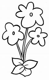 Coloring Preschool Flower Pages Template Kids Violet Blank Clipart Stem Stems Drawings Flowers Simple Drawing Color Easy Plant Cliparts Cute sketch template