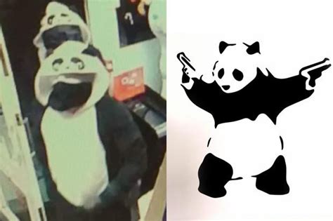 armed robbers hold up newsagent… disguised as pandas daily star