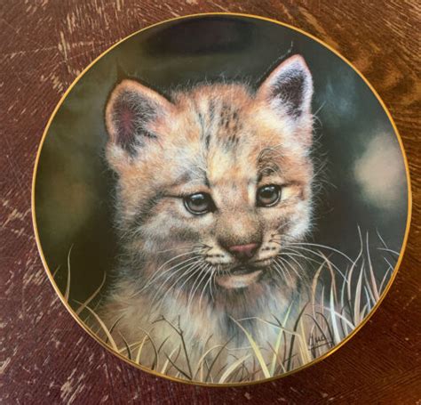 lynx cub plate by princeton gallery cubs of the big cats plate
