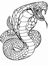 Cobra Serpente Stampare Puliti Scritte Senza sketch template