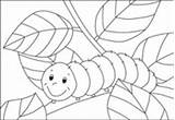 Raupe Bruco Caterpillar Kita Malvorlagen Schule Kiga Kigaportal sketch template