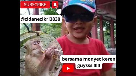 Monyet Minum Tebs Bersama Zikri Youtube
