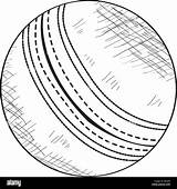 Cricket Ball Sketch Drawing Vector Alamy Stock Illustration Getdrawings sketch template