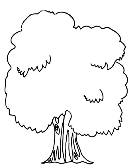 tree coloring pages  kindergarten clip art library