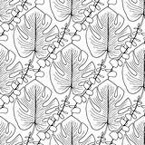 Tropicales Foglie Tropicale Vettore Cuciture Adulta Patron Proget Eucalyptus Transparente sketch template
